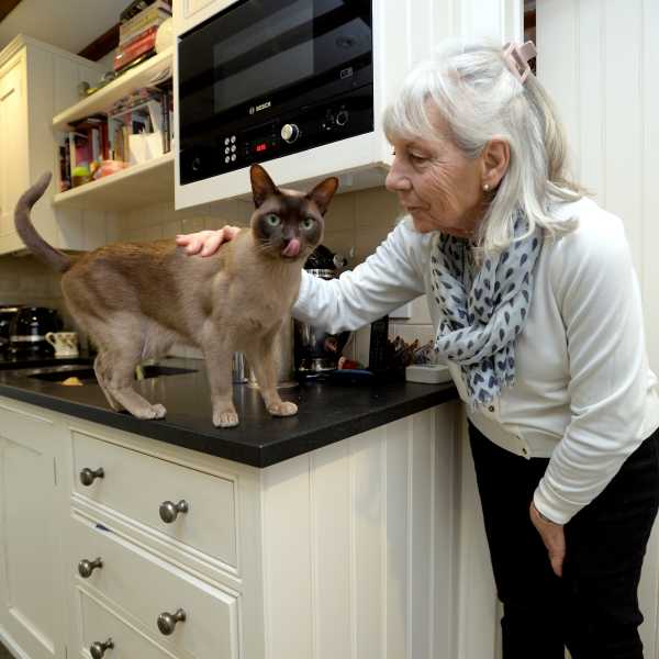 Your Pets Daily - Purr-fect Homesitting adventures - lady looks after 103 cats